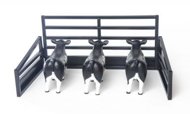 Show Cattle Stall Display Black